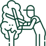 Jardinagem e Conservação